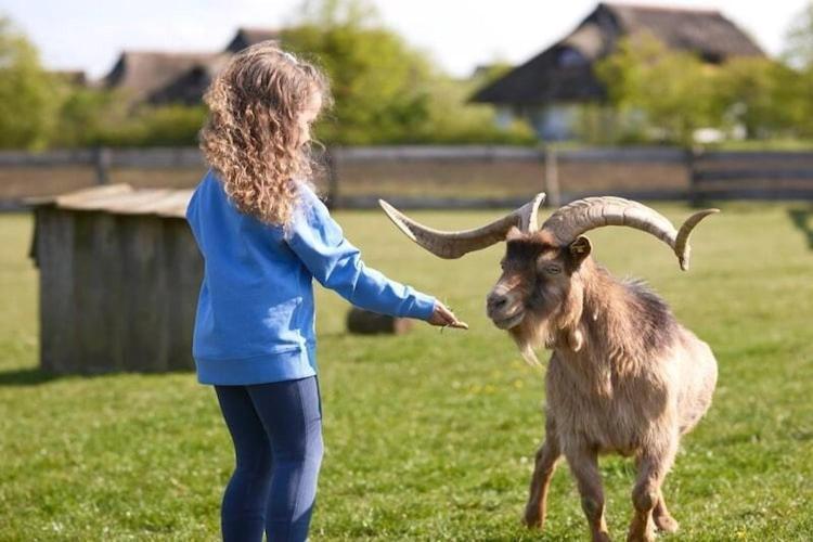 Holiday Resort Van Der Valk, Linstow Dobbin-Linstow Bagian luar foto